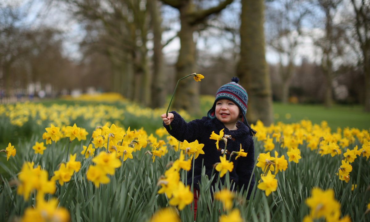 La primavera nei parchi di Londra