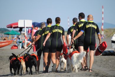 Naspi, la rivolta dei lavoratori stagionali