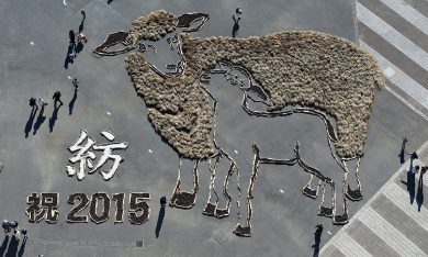 L’ultima Pasqua del Dr. Lamb