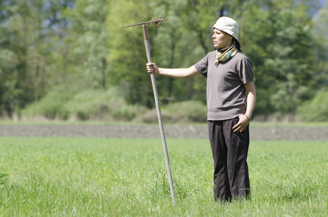 Cerchi lavoro? Vai in Svizzera a fare il contadino Cerchi lavoro? Vai in Svizzera a fare il contadino