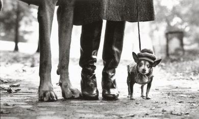 Elliott Erwitt, Scatti personali