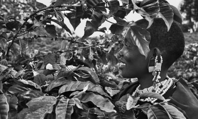 Il  viaggio di Salgado nel mondo del caffè