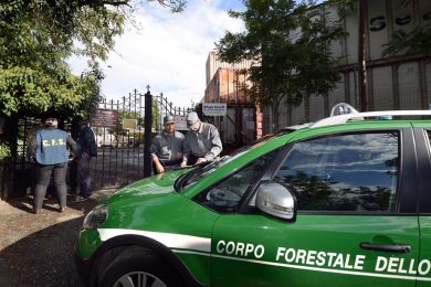 Guardia Forestale: “Nessun accorpamento con l’Arma”