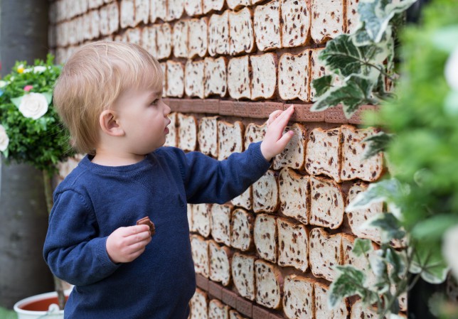 Londra, ecco il primo giardino “mangiabile”
