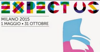 #NoExpo, ci si mette anche Anonymous