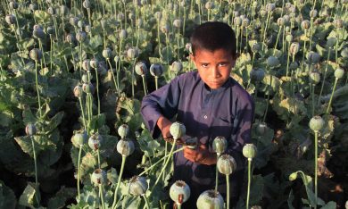 Le foto più belle della settimana – 24/30 aprile