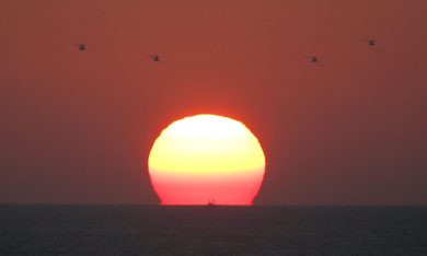 Gaza, bloccato il peschereccio della Freedom Flotilla