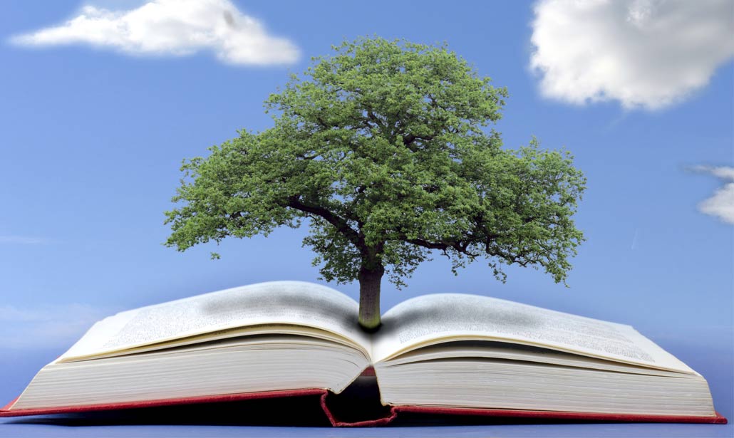 ‘Libro Arbol’, il libro che diventa un albero ‘Libro Arbol’, il libro che diventa un albero