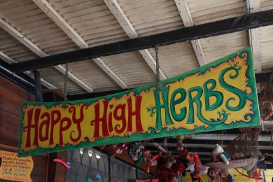 Gli Yuccie non esistono (e neanche gli Hipster)