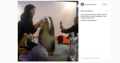 Si chiama Rony il cane più bello del mondo