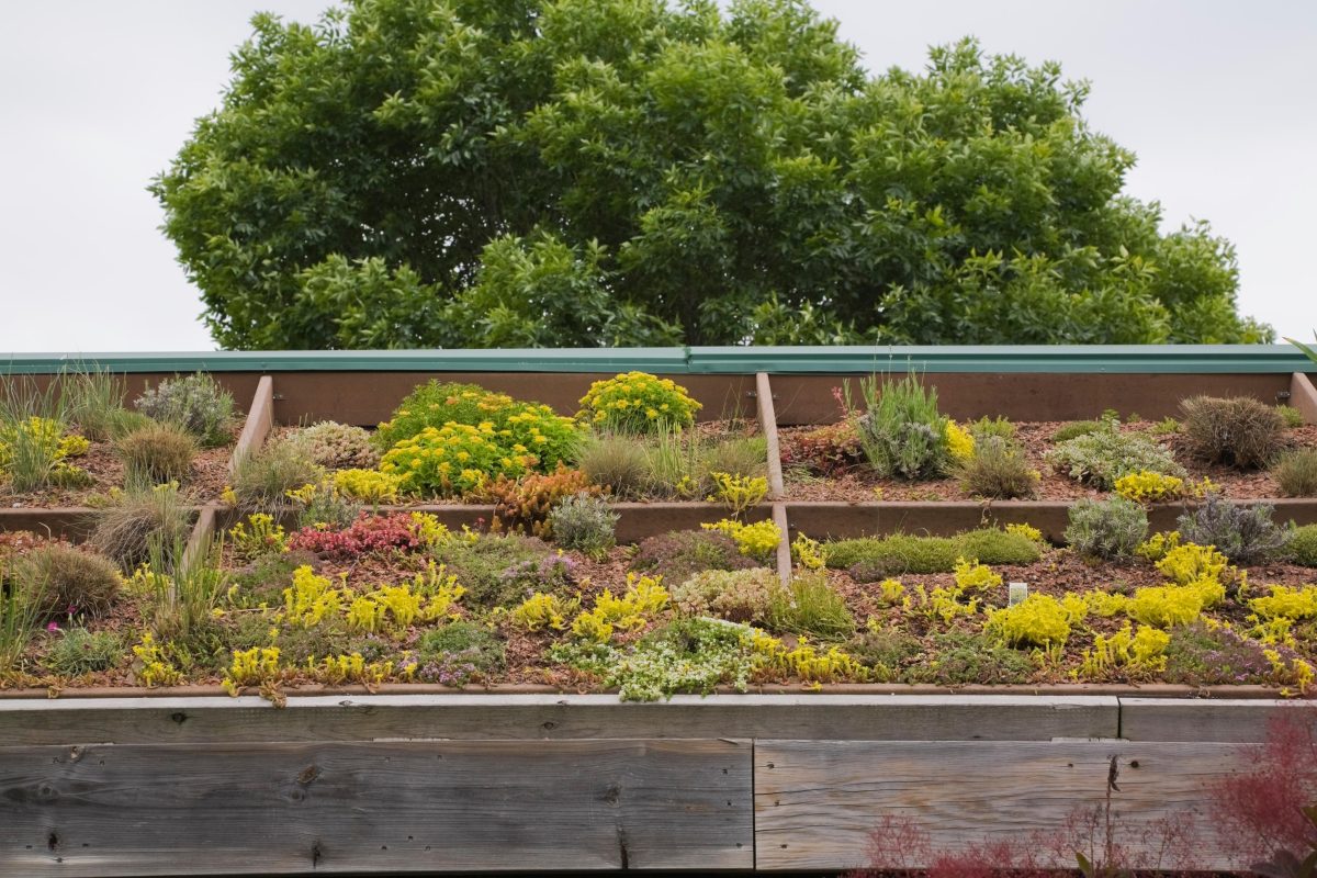 Galleria foto 'Francia “green”, d’ora in poi solo case con giardino (sul tetto)' - foto 2