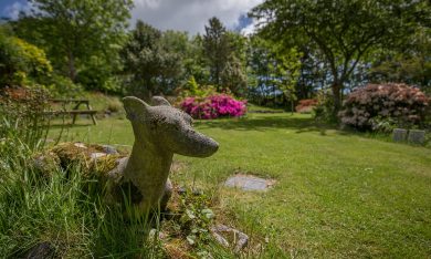Il cimitero degli animali domestici