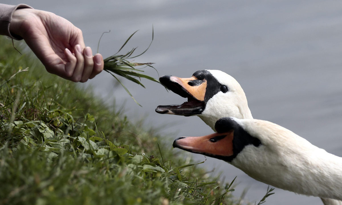 Le foto più belle della settimana – 24/30 luglio