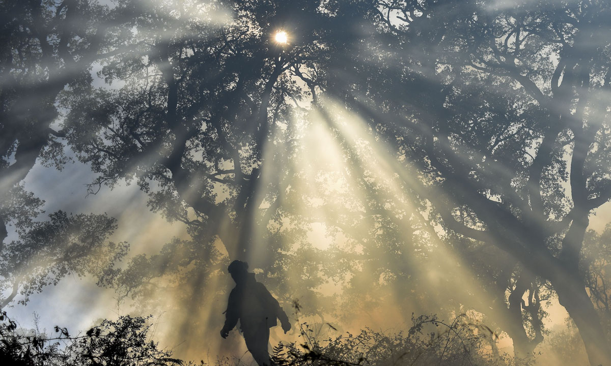 Le foto più belle della settimana – 24/30 luglio