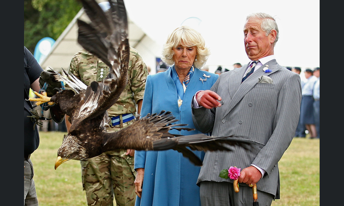 Le foto più belle della settimana – 24/30 luglio