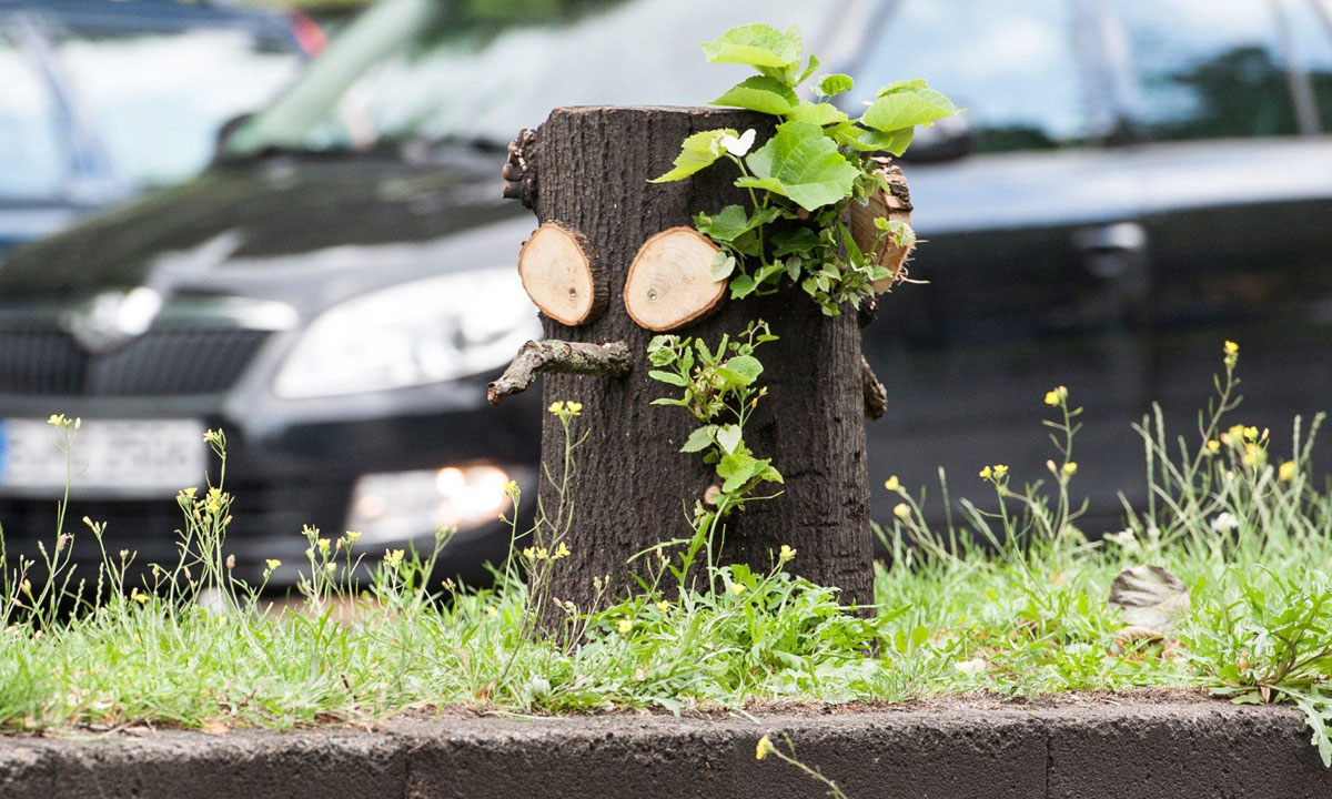 Le foto più belle della settimana – 24/30 luglio