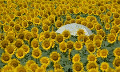 Le foto più belle della settimana – 24/30 luglio