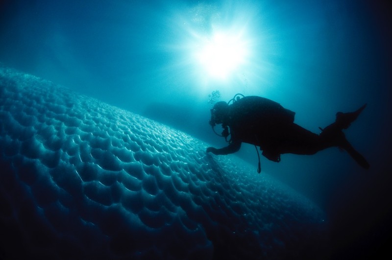 Vacanze “da brivido”, tra i ghiacci di un iceberg