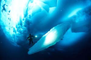 Vacanze “da brivido”, tra i ghiacci di un iceberg