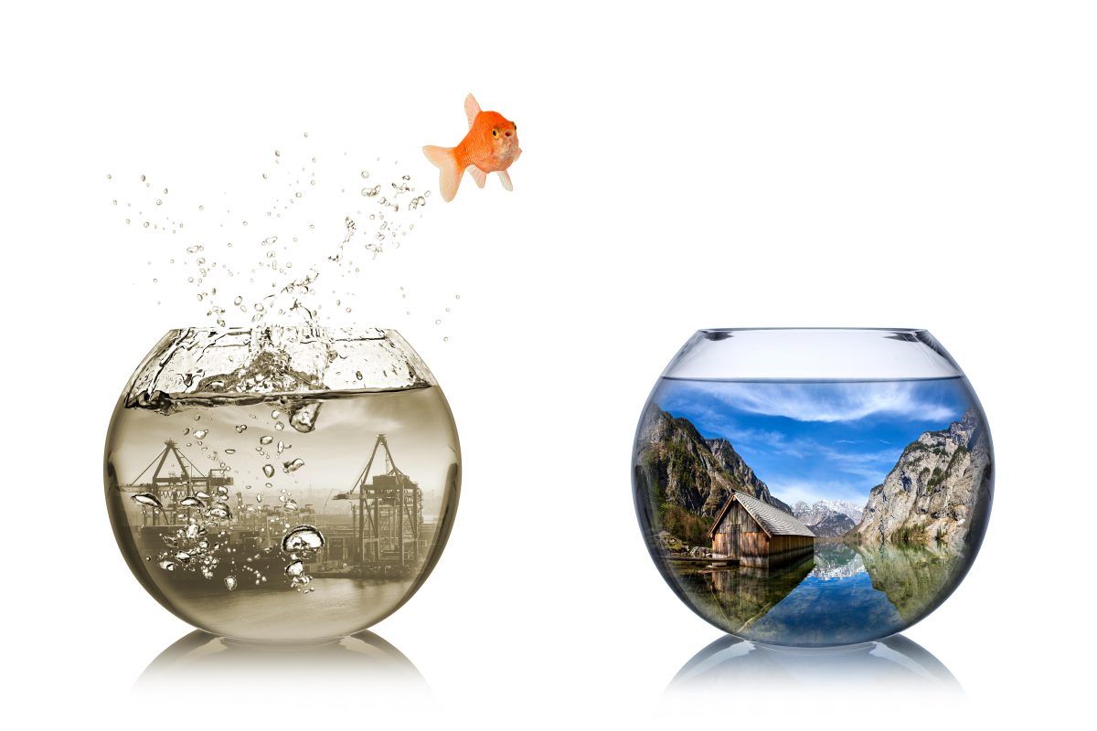 Galleria foto 'I 7 consigli per una vacanza “perfetta”' - foto 4