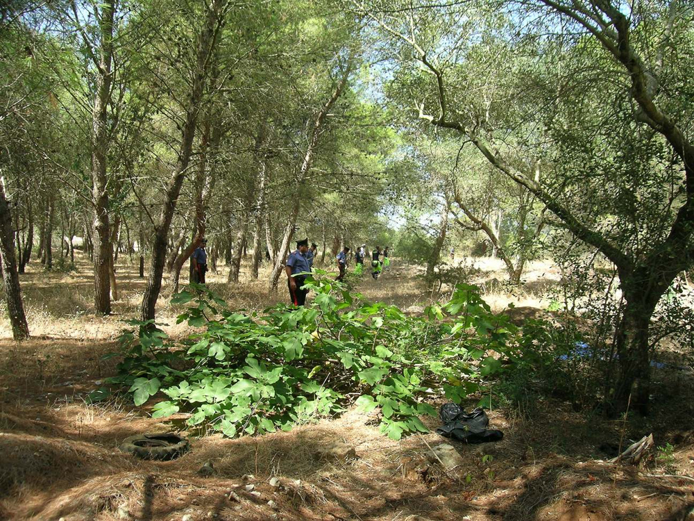 Delitto di Avetrana, confermati gli ergastoli a Cosima e Sabrina Delitto di Avetrana, confermati gli ergastoli a Cosima e Sabrina