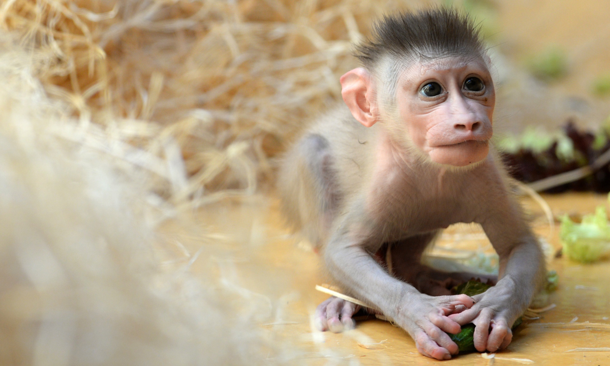 Animali, le foto più belle del mese – Luglio