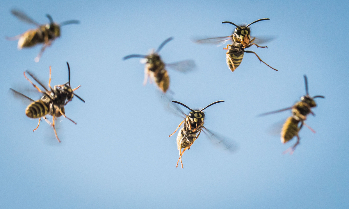 Animali, le foto più belle del mese – Luglio