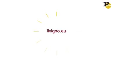 Stralivigno 2015: un successo