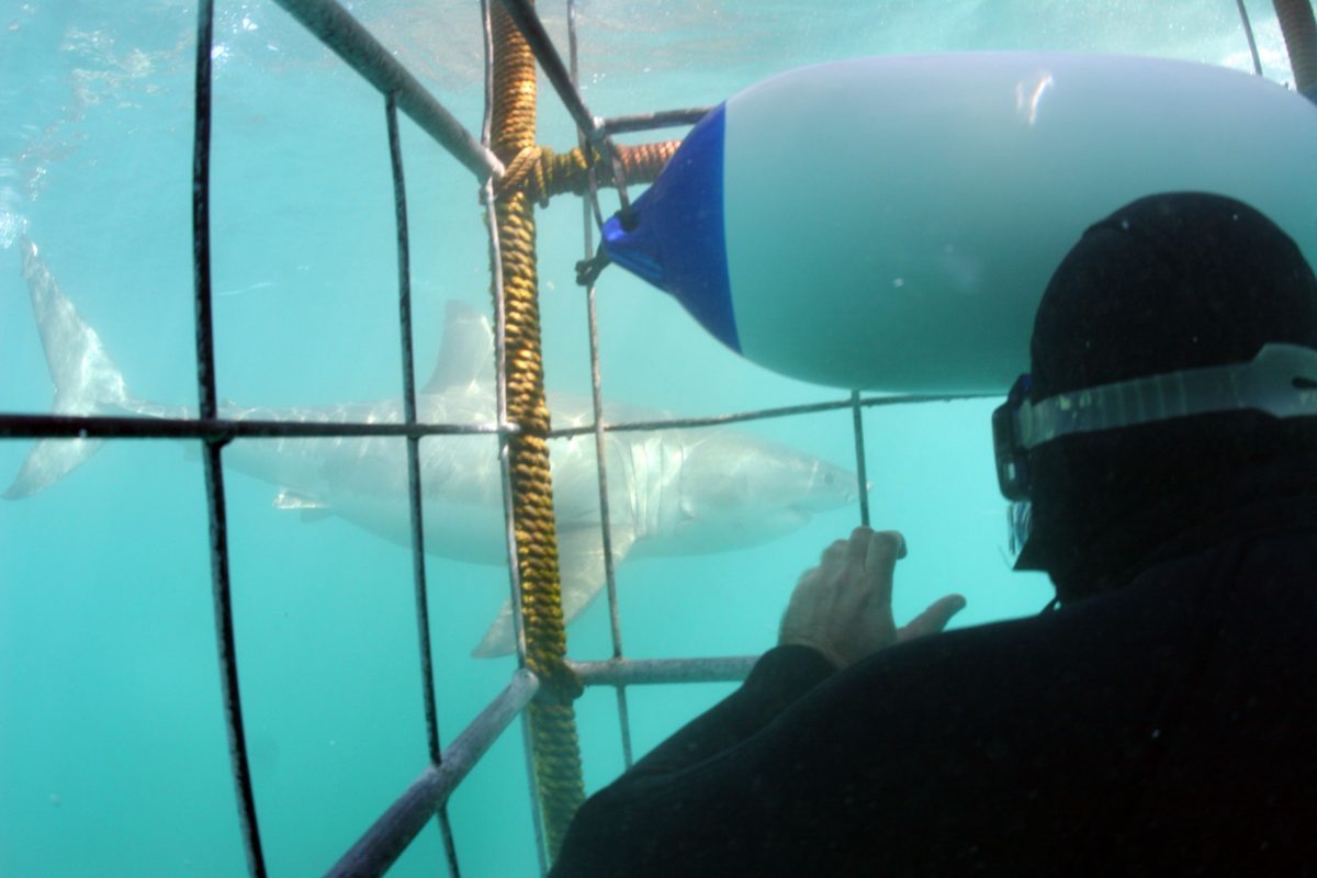 Galleria foto 'Le 10 spiagge più pericolose al mondo' - foto 8