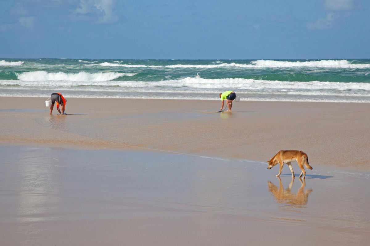 Galleria foto 'Le 10 spiagge più pericolose al mondo' - foto 4