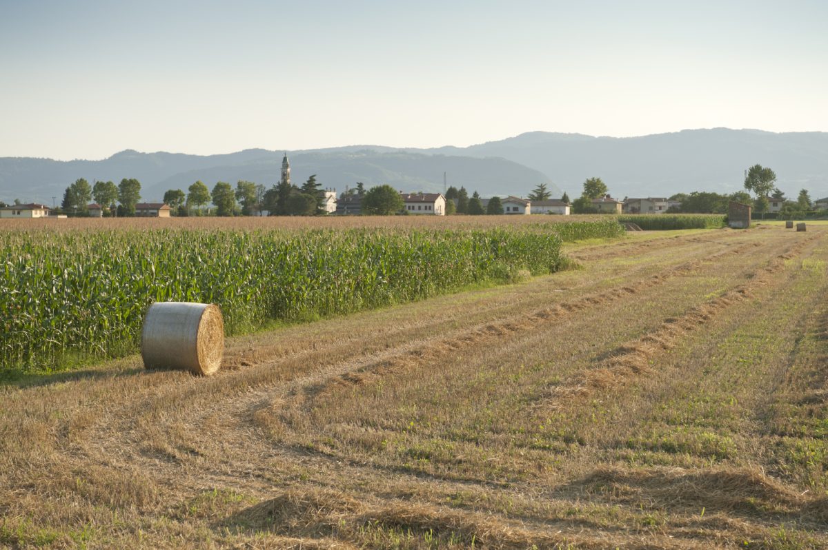 Galleria foto '10 saggi da leggere sotto l’ombrellone' - foto 8