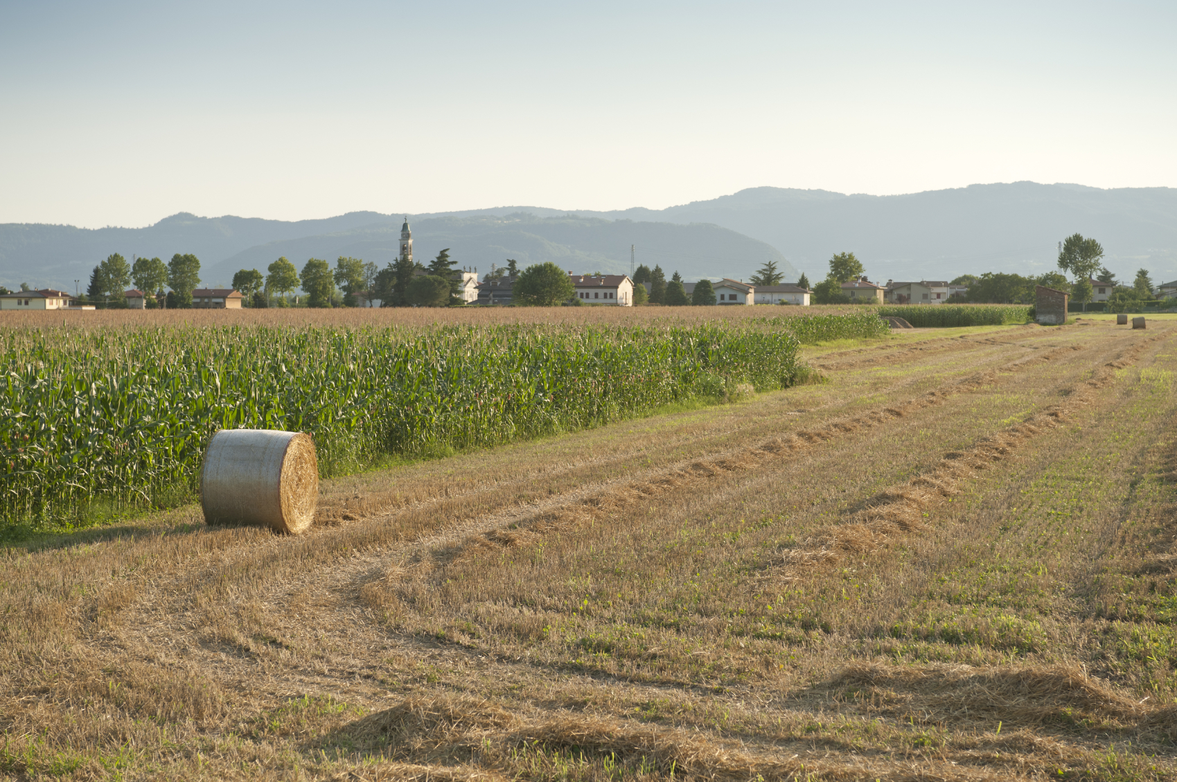 10 saggi da leggere sotto l’ombrellone