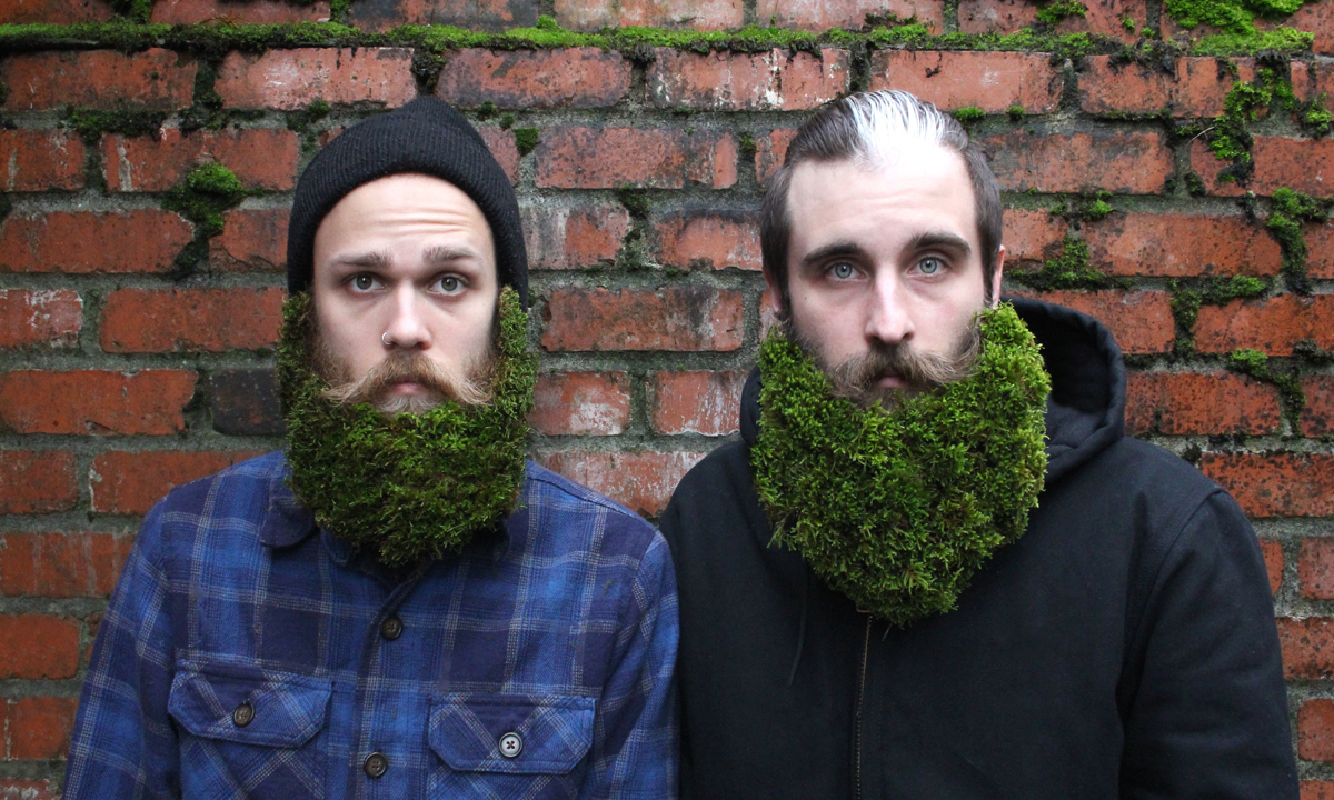 Le bizzarre barbe d’artista di Brian & Jonathan
