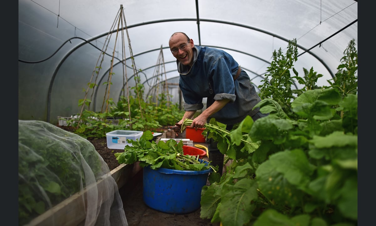 Scozia, vita nella quiete nell’Abbazia di Pluscarden Scozia, vita nella quiete nell’Abbazia di Pluscarden