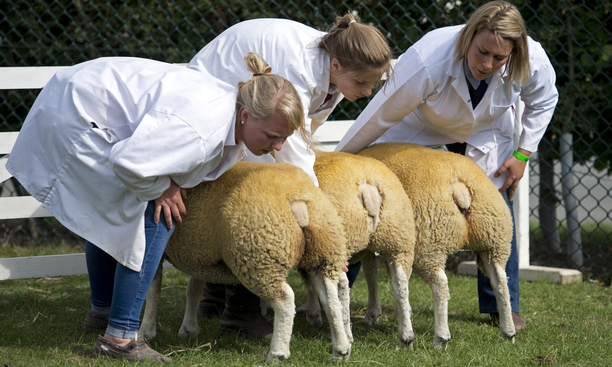 Le foto più belle della settimana – 10/16 luglio