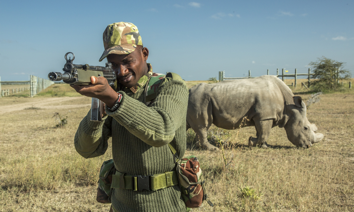 L’ultimo rinoceronte bianco settentrionale del pianeta
