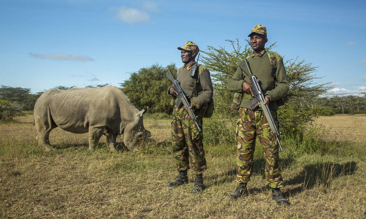 L’ultimo rinoceronte bianco settentrionale del pianeta
