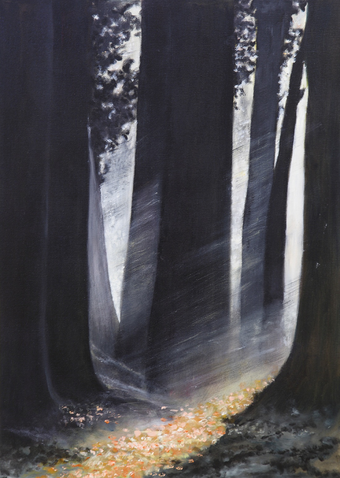 “50 e Più”. Prosa, Poesia, Pittura e Fotografia “50 e Più”. Prosa, Poesia, Pittura e Fotografia