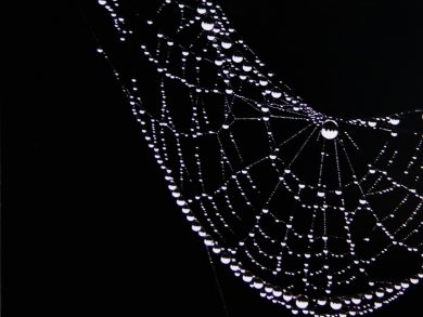 “50 e Più”. Prosa, Poesia, Pittura e Fotografia