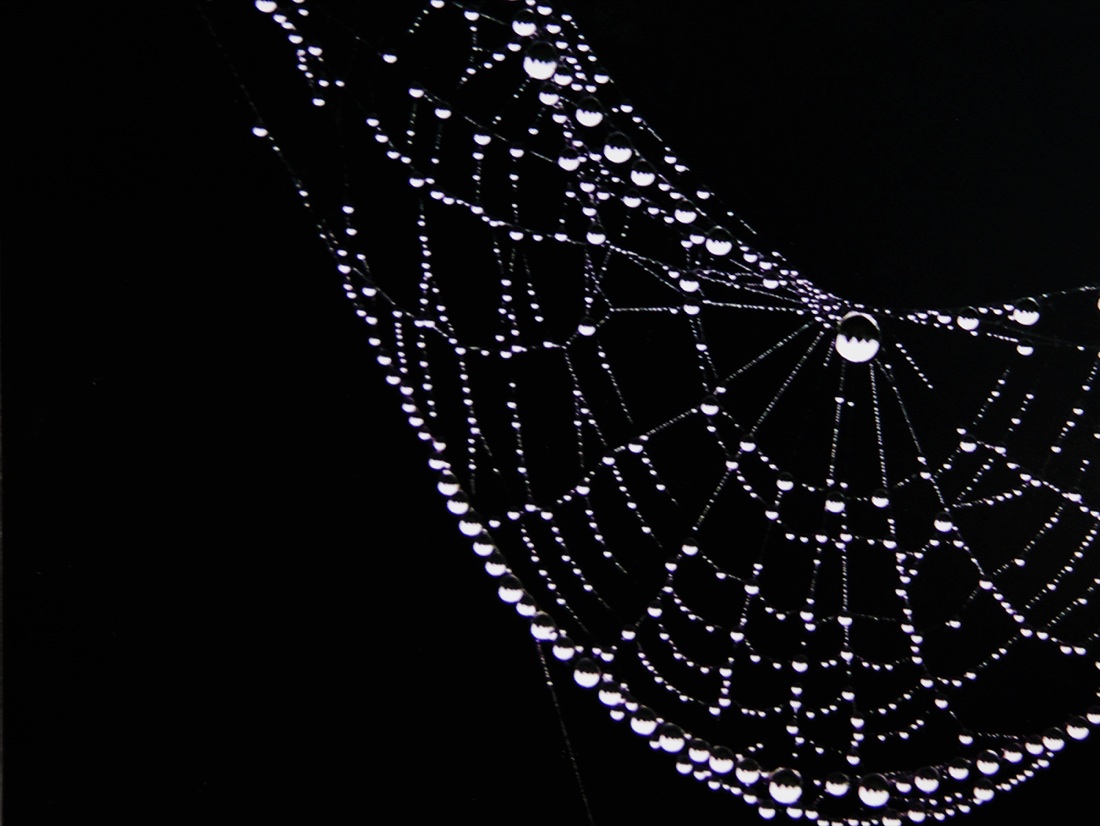 “50 e Più”. Prosa, Poesia, Pittura e Fotografia “50 e Più”. Prosa, Poesia, Pittura e Fotografia