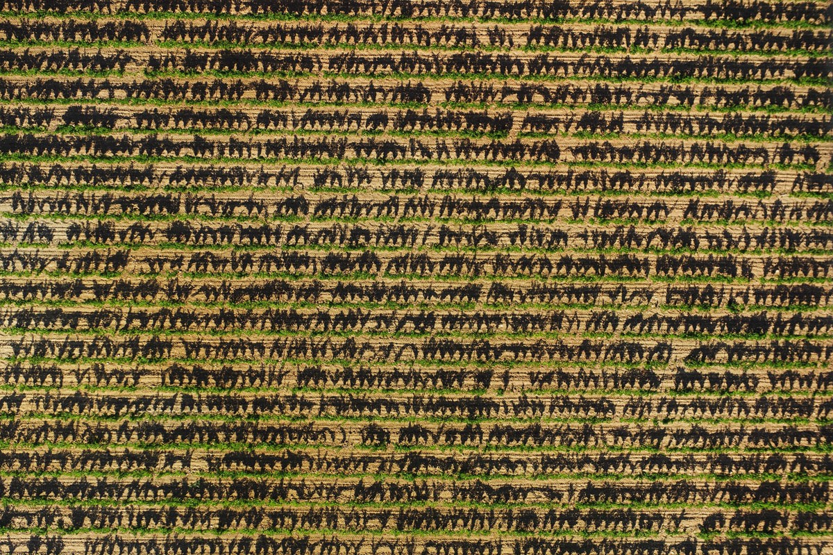 Saint-Tropez vista dall’alto