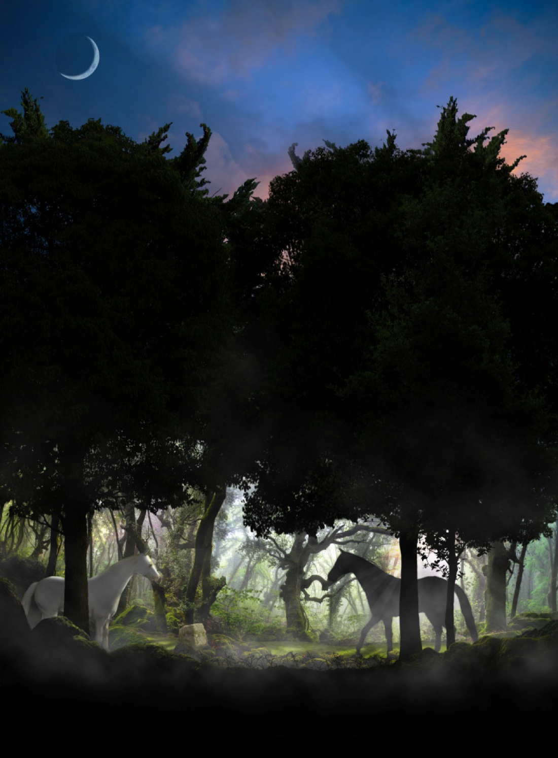 La Divina Bellezza – Discovering Siena La Divina Bellezza – Discovering Siena