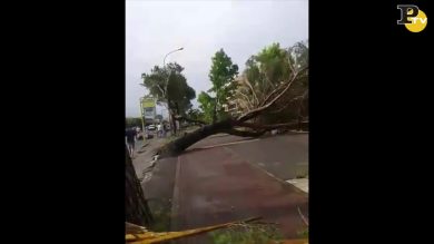 Tromba d’aria a Dolo: i danni