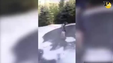 Pala cade e suona i Nirvana