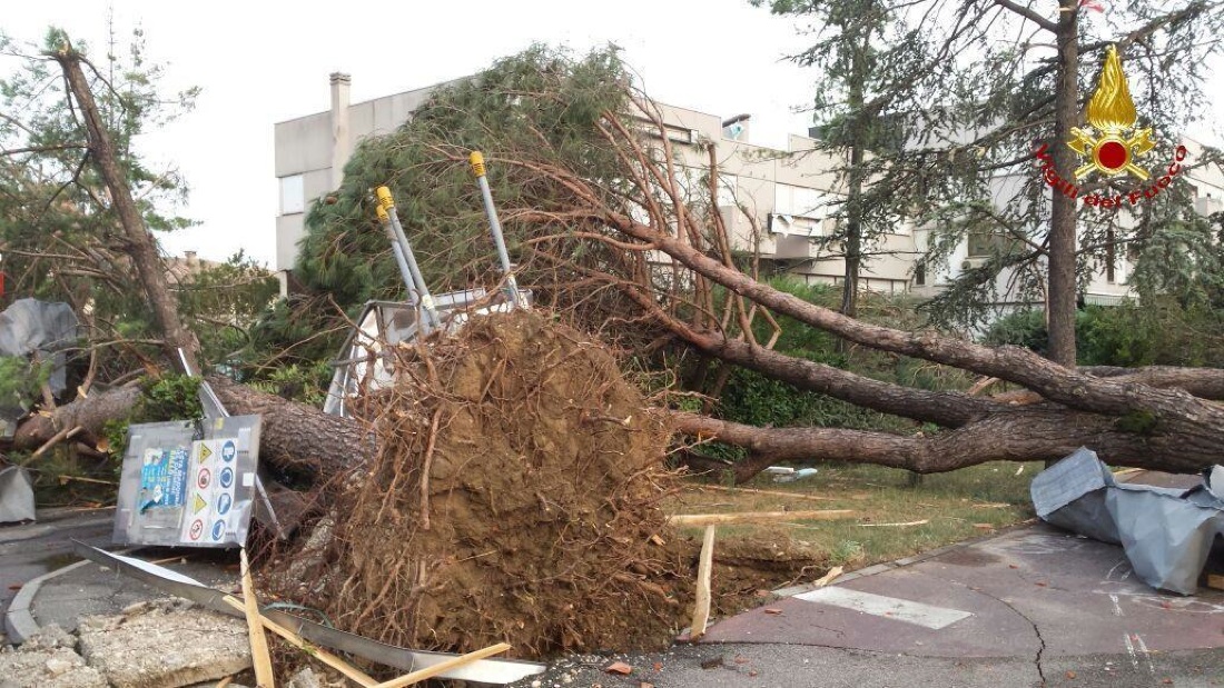 Tromba d’aria nel veneziano – foto – video Tromba d’aria nel veneziano – foto – video