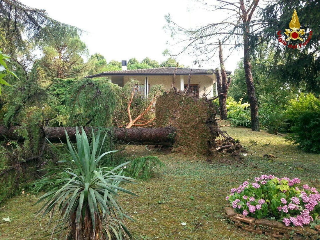 Tromba d’aria nel veneziano – foto – video Tromba d’aria nel veneziano – foto – video