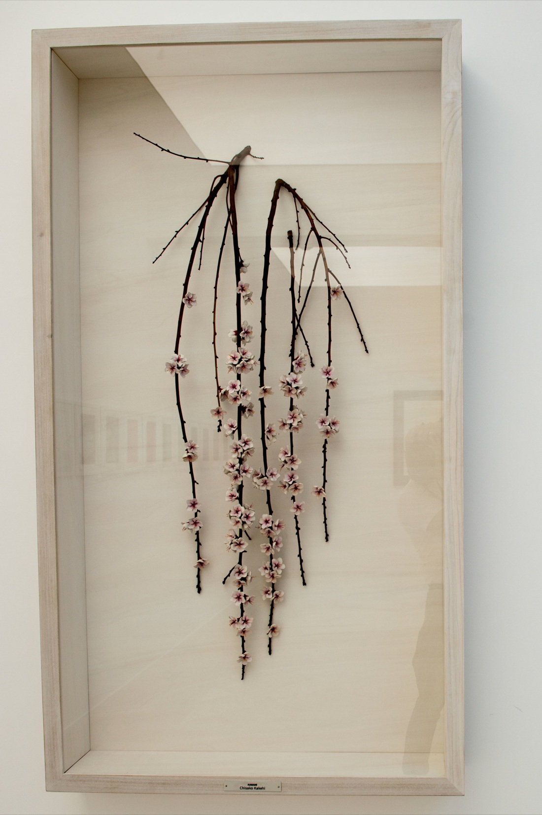 Synthesis. Riapre la Fondazione Museo Pino Pascali Synthesis. Riapre la Fondazione Museo Pino Pascali