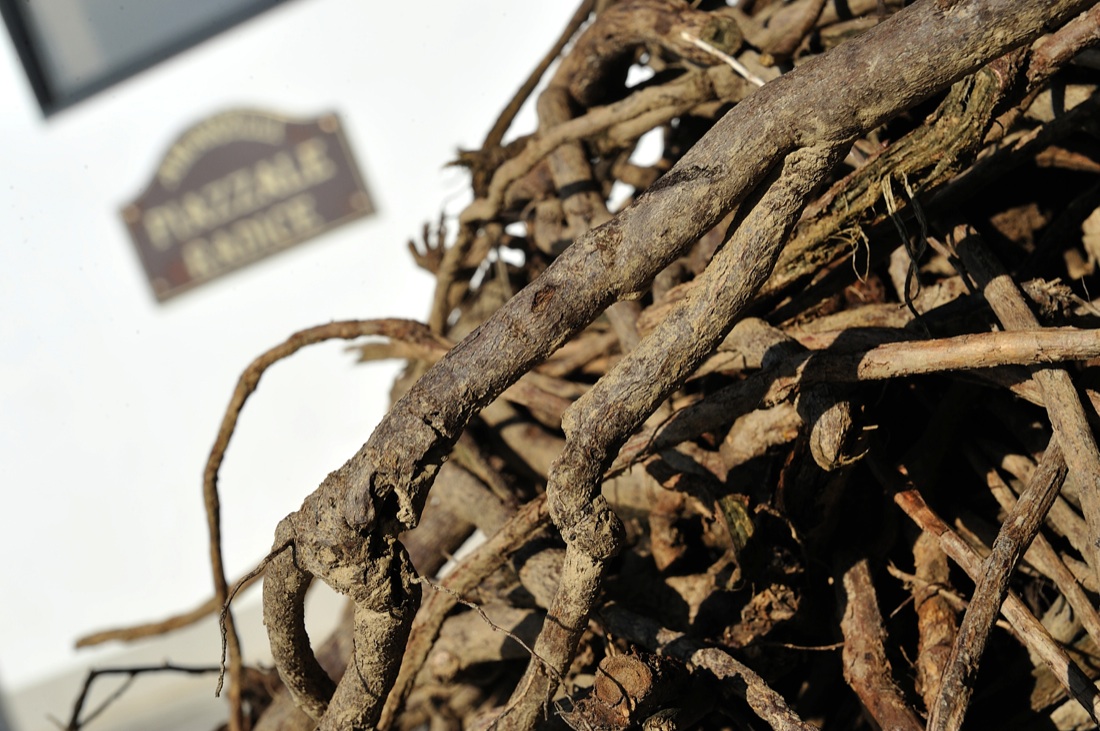 Myrrha – Il dono del Sud Myrrha – Il dono del Sud