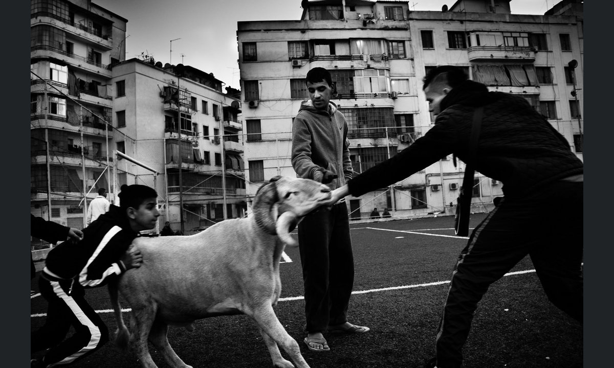 Fotogiornalismo: Visa pour l’Image a Perpignan