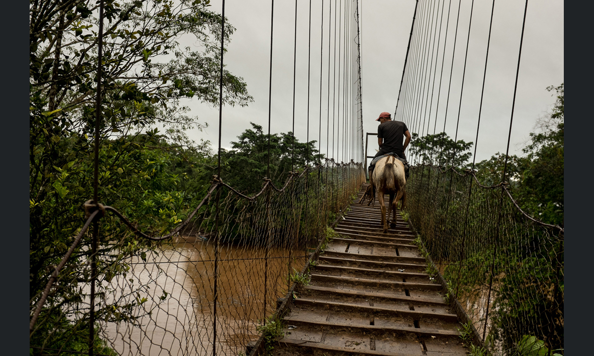 Fotogiornalismo: Visa pour l’Image a Perpignan